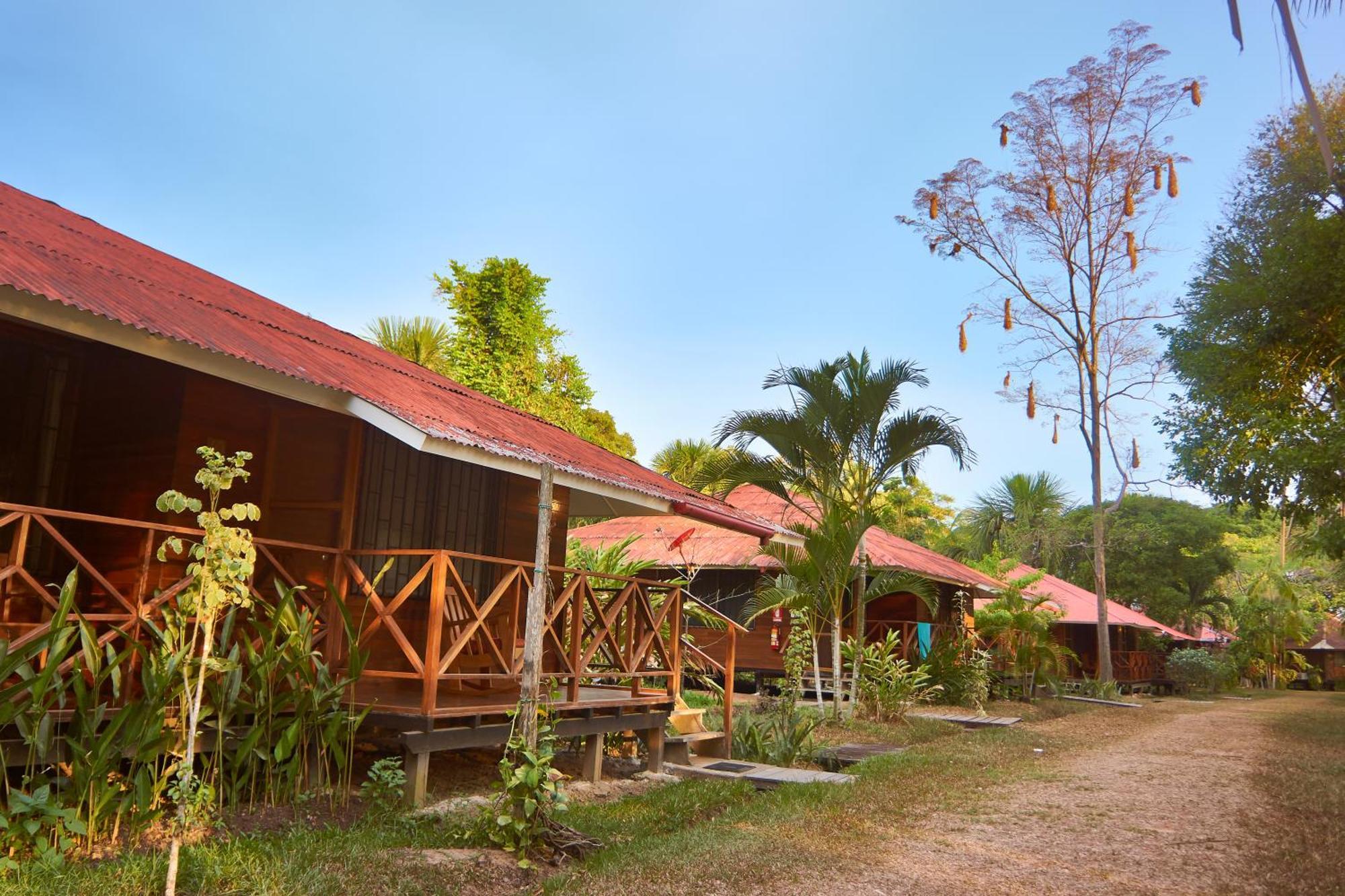 פוקאלפה Manish Hotel Ecologico מראה חיצוני תמונה